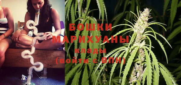 стаф Осинники