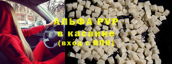 PSILOCYBIN Коряжма