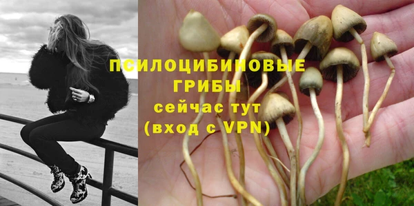 PSILOCYBIN Коряжма