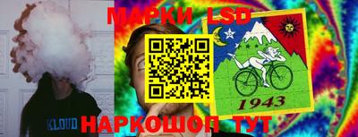 винт Кандалакша