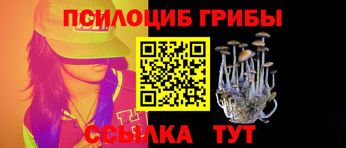 Псилоцибиновые грибы мицелий Усинск